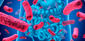 Modulação Intestinal