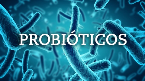 Você está visualizando atualmente Probióticos e seus benefícios na melhora da função intestinal, imunidade e emagrecimento.